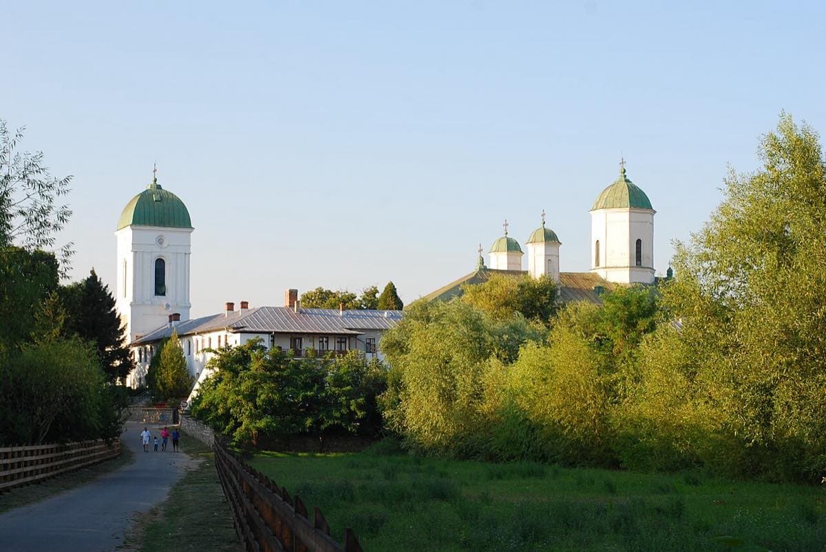 Pădurea și Mănăstirea Cernica