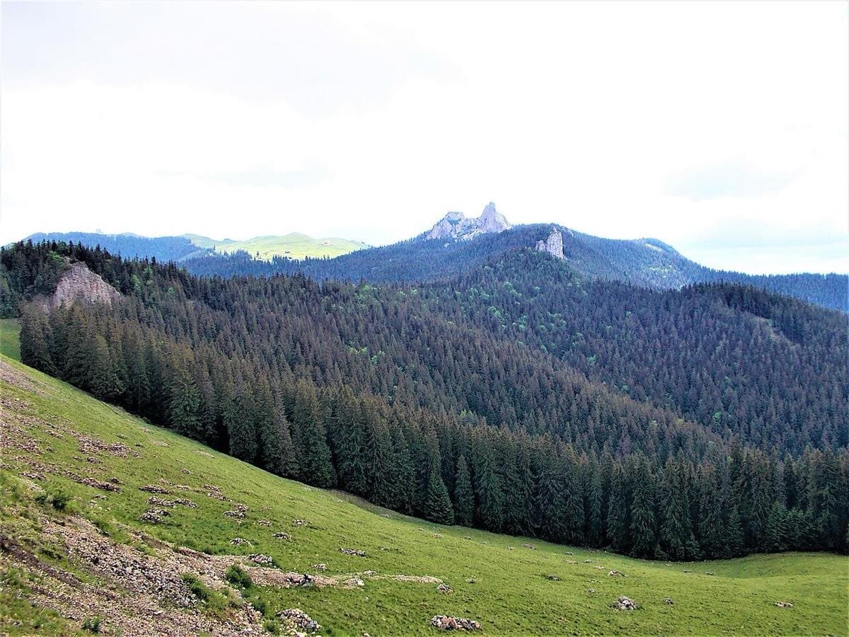 Rarău — Pietrele Doamnei